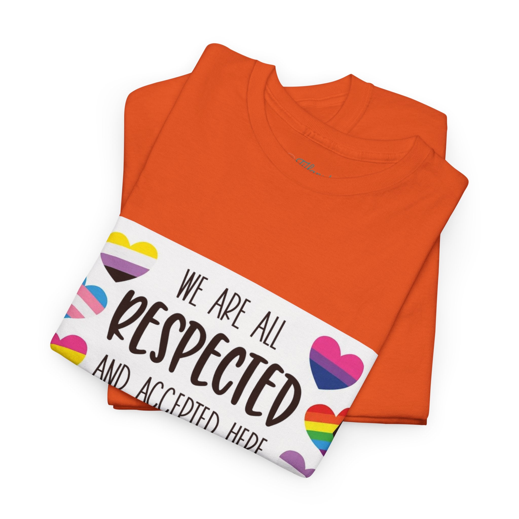 Inclusive Message Unisex Heavy Cotton Tee - "We Are All Respected and Accepted Here"  Inclusivity Unisex