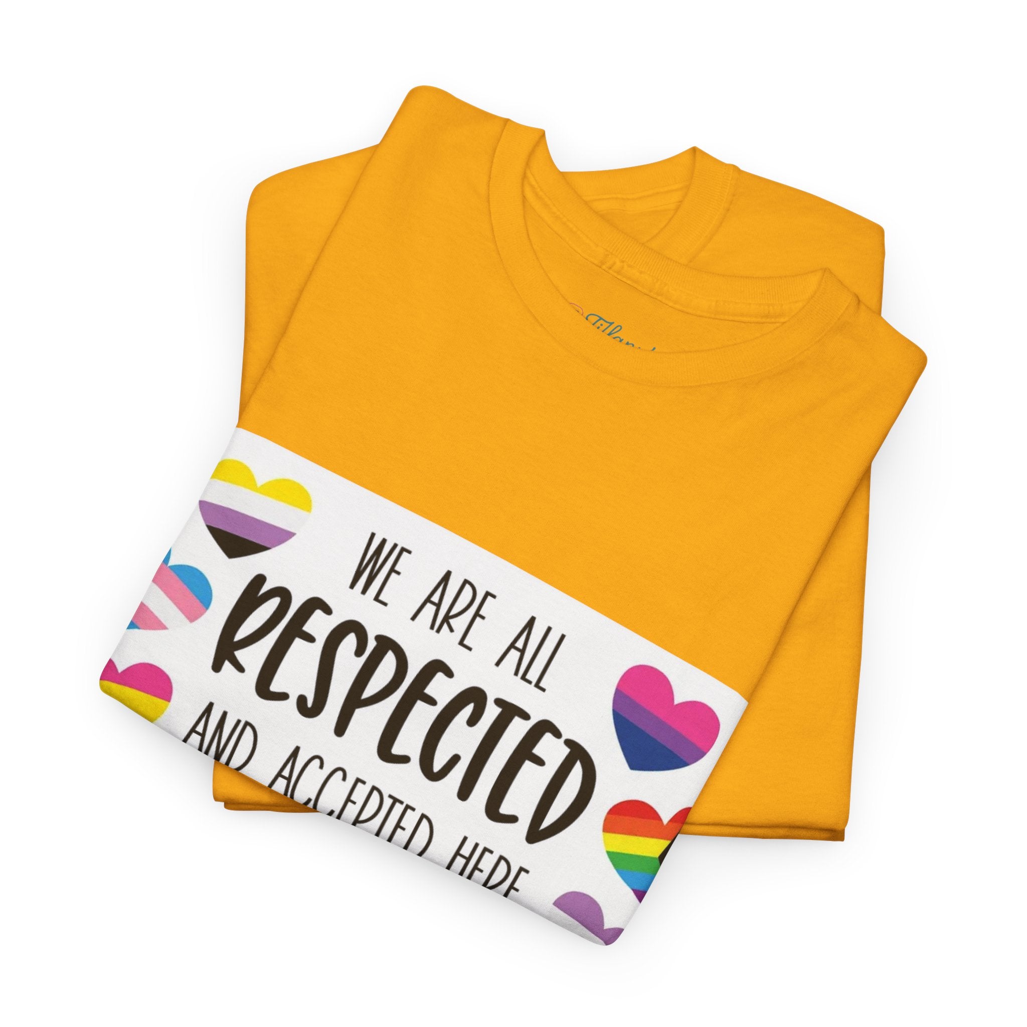 Inclusive Message Unisex Heavy Cotton Tee - "We Are All Respected and Accepted Here"  Inclusivity Unisex